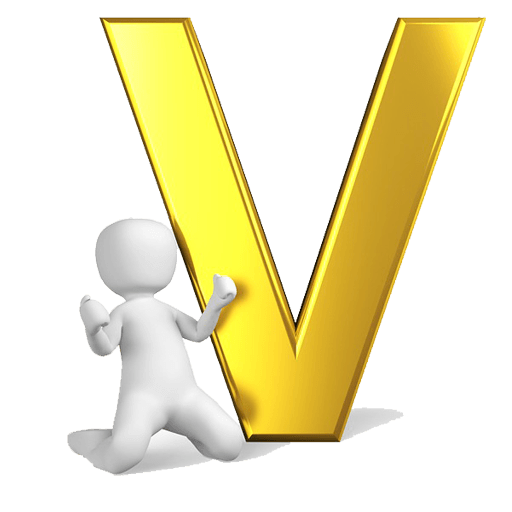 شركة فيو place picture